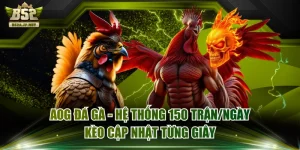 AOG Đá Gà - Hệ Thống 150 Trận/Ngày, Kèo Cập Nhật Từng Giây
