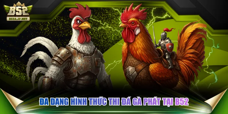 Đa dạng hình thức thi đá gà phát tại B52
