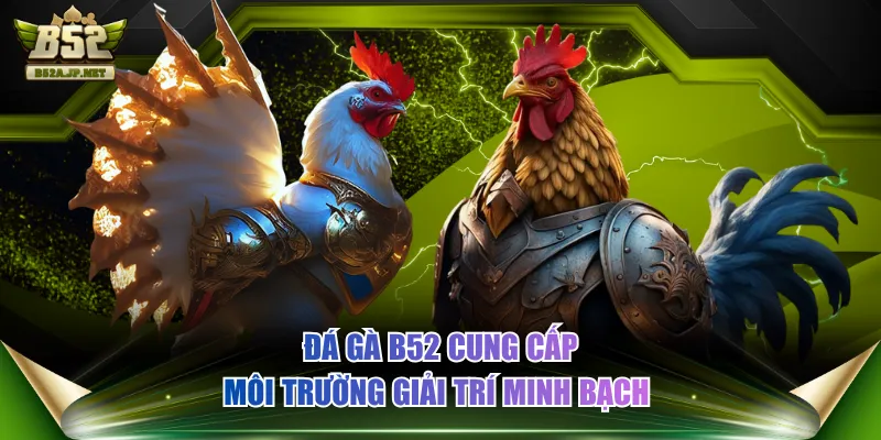 Đá Gà B52 cung cấp môi trường giải trí minh bạch