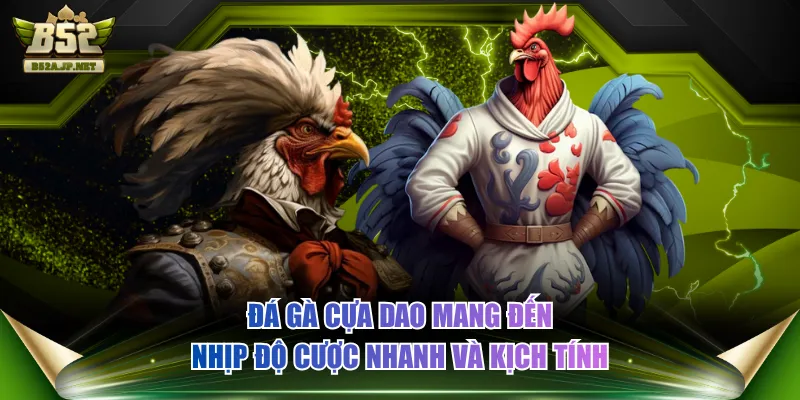 Đá gà cựa dao mang đến nhịp độ cược nhanh và kịch tính
