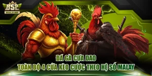 Đá Gà Cựa Dao - Toàn Bộ 4 Cửa Kèo Cược Theo Hệ Số Malay