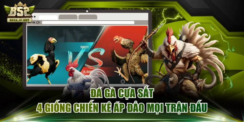Đá Gà Cựa Sắt - 4 Giống Chiến Kê Áp Đảo Mọi Trận Đấu
