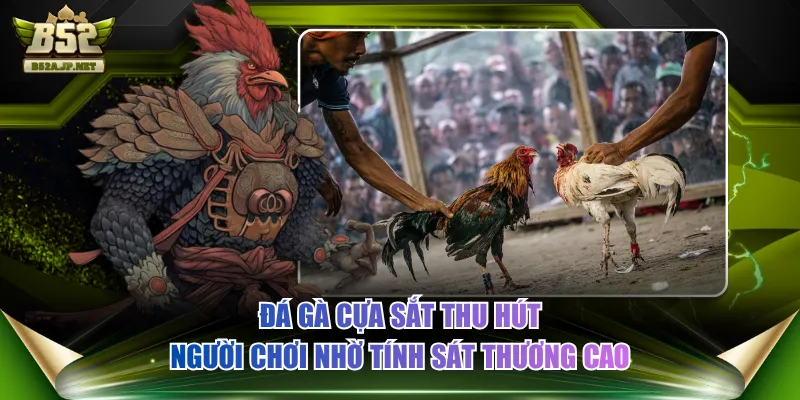 Đá gà cựa sắt thu hút người chơi nhờ tính sát thương cao
