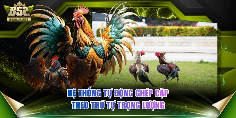 Hệ thống tự động ghép cặp theo thứ tự trọng lượng
