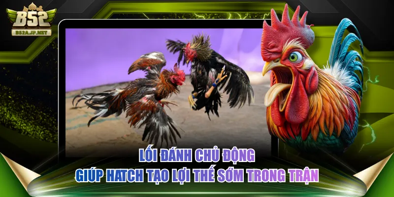 Lối đánh chủ động giúp Hatch tạo lợi thế sớm trong trận